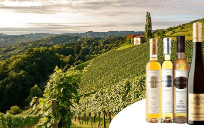 I tesori del Wachau e del Burgenland
