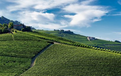 Barolo mon amour!