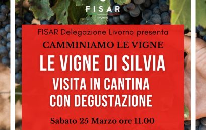 Gita in Cantina – Le Vigne di Silvia