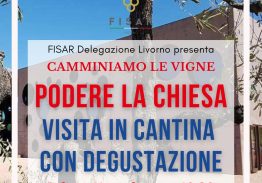 Gita in Cantina  – Podere La Chiesa