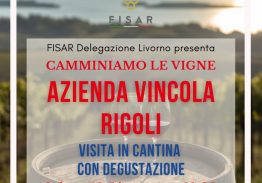 Gita in Cantina Cantina Rigoli, Suvereto