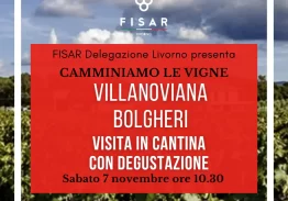 Gita in Cantina  – Azienda Agricola Villanoviana  Bolgheri