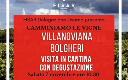 Gita in Cantina  – Azienda Agricola Villanoviana  Bolgheri